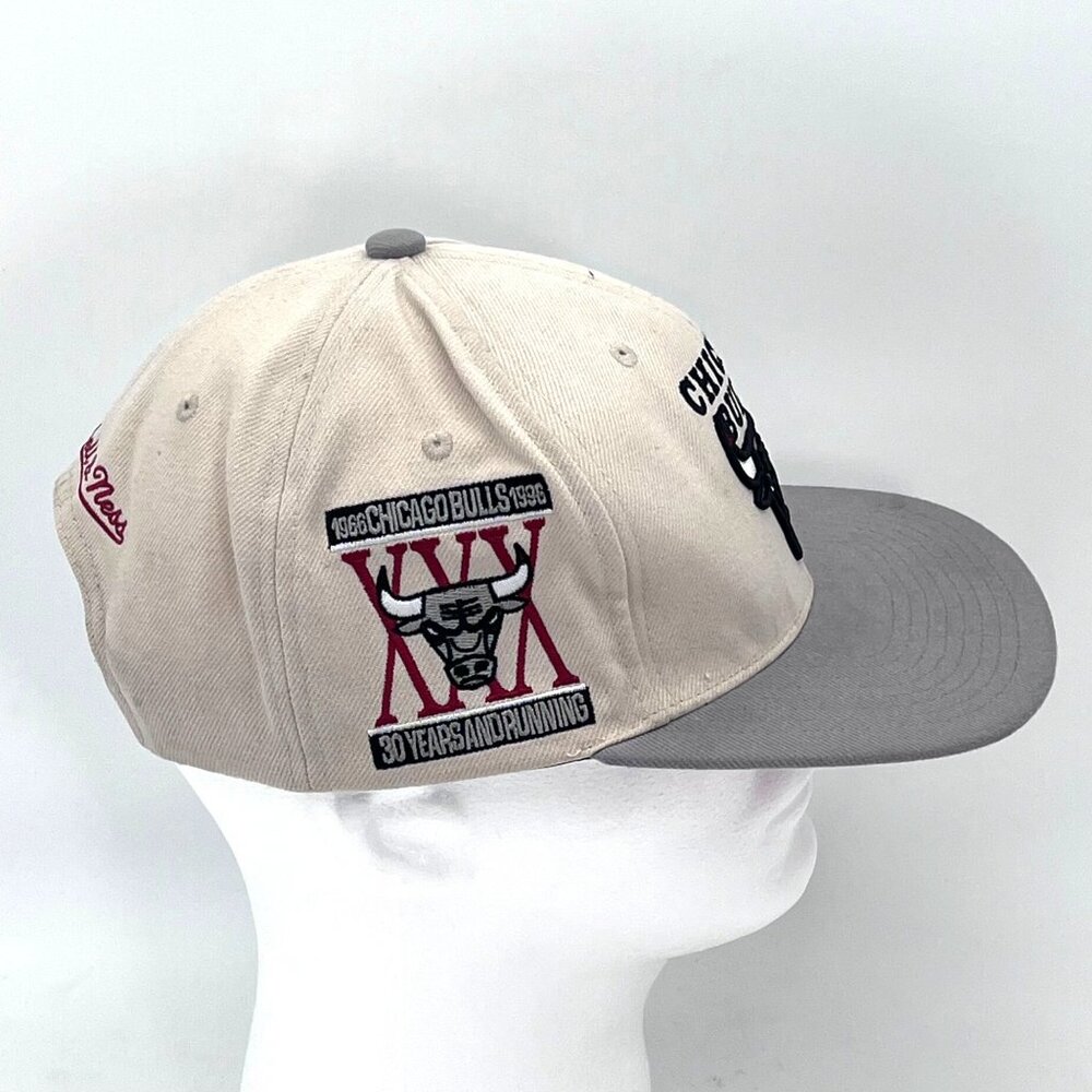 Mitchell & Ness Chicago Bulls 30th Anniversary Cap Hat Adjustable Snapback 1996 - Picture 3 of 16